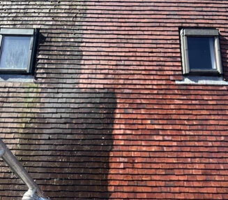 Roof Cleaning